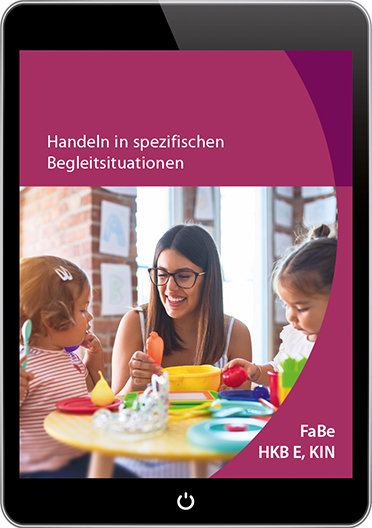 FABE KIN E: Handeln in spezifischen Begleitsituationen [EBook]