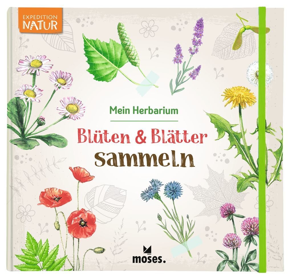 Blüten & Blätter sammeln